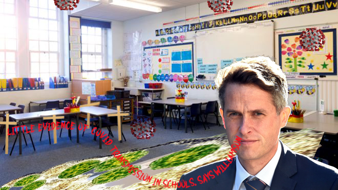 Headshot of Gavin Williamson against a primary school classroom. The coronavirus floats in the air, while part of the floor is an infected human cell.

