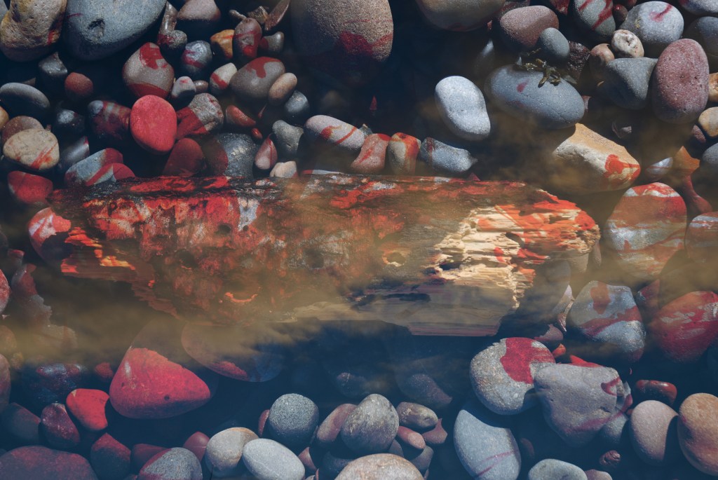 Layered image a wood soaked log lies on a pebble strewn beach. On top of this a layer of red looking like splattered blood this is mixed with a layer of yellow clouds.